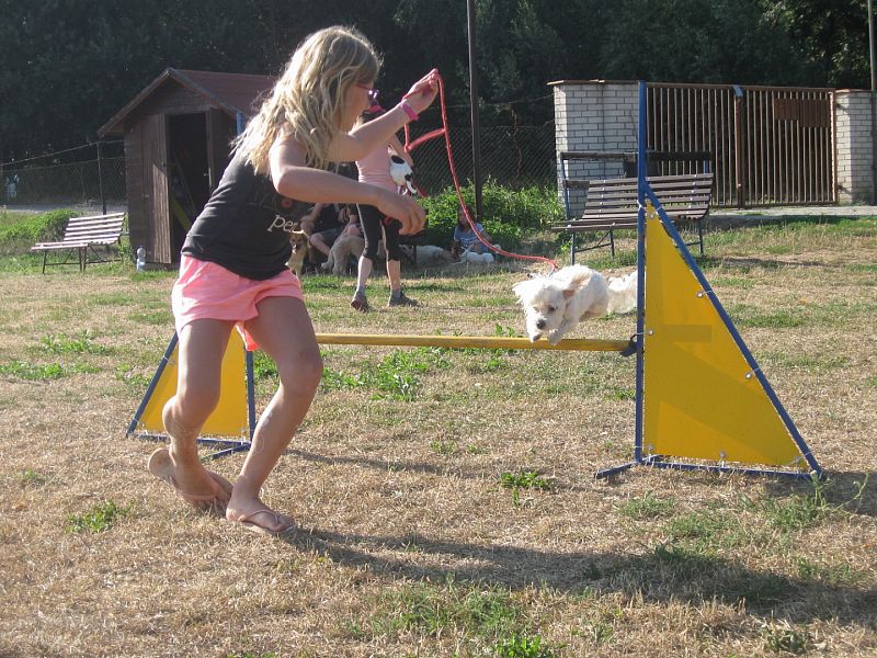 Letní tábor pro děti a psy