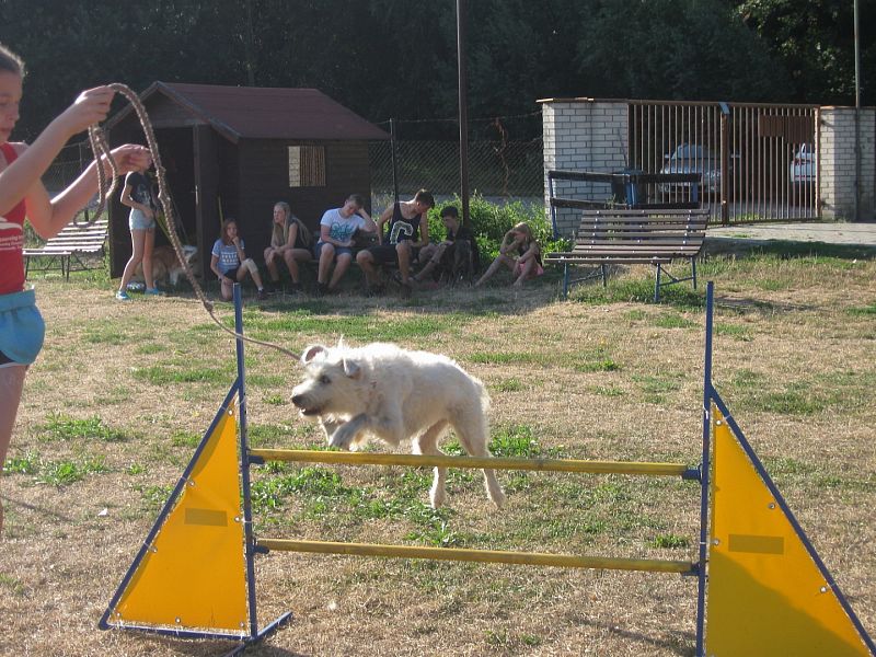 Letní tábor pro děti a psy