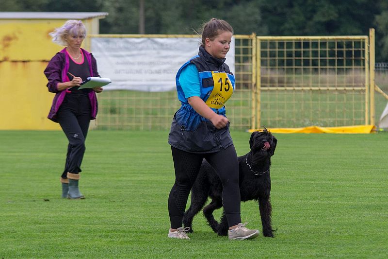 MČR mládeže a juniorů 2019 Nýřany