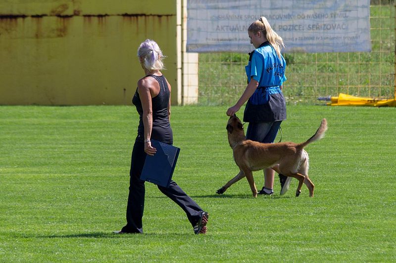 MČR mládeže a juniorů 2019 Nýřany