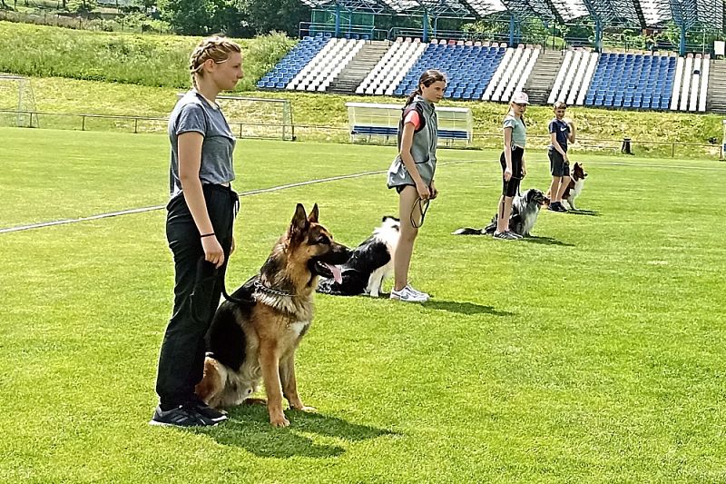 MČR mládeže a juniorů Obedience 4.6.2022