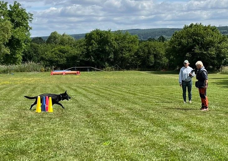 MČR Německých ovčáků v OB a Rally OB 4.7.2026