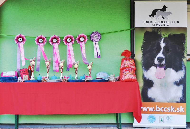 Mistrovství SR BOC v Obedience - Tomášov (Slovensko)