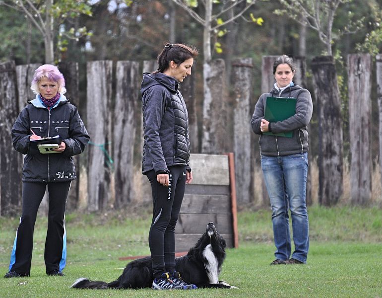 Mistrovství SR BOC v Obedience - Tomášov (Slovensko)