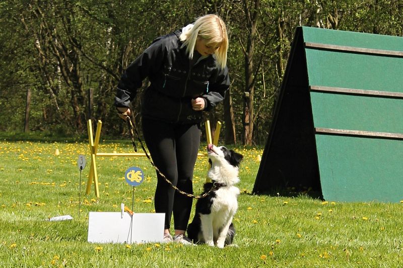 Neoficiální závody Obedience a Rally OB