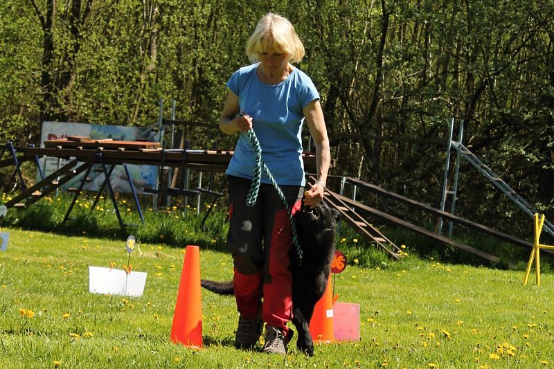 Neoficiální závody Obedience a Rally OB