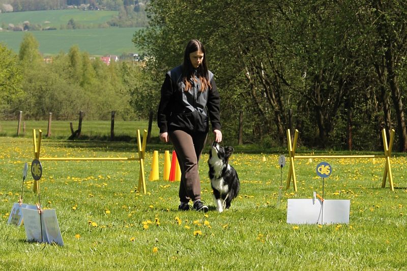 Neoficiální závody Obedience a Rally OB