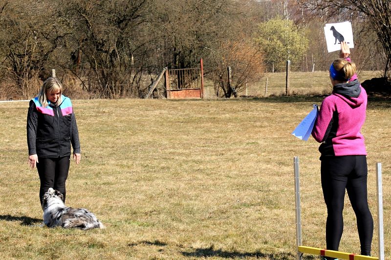 O Březnového králíčka 22.3.2025