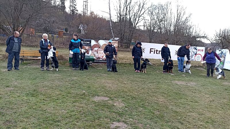 O Březnového králíčka 22.3.2025