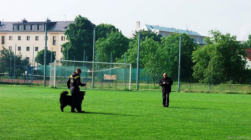 O Opatovický poklad Opatovice n.L.