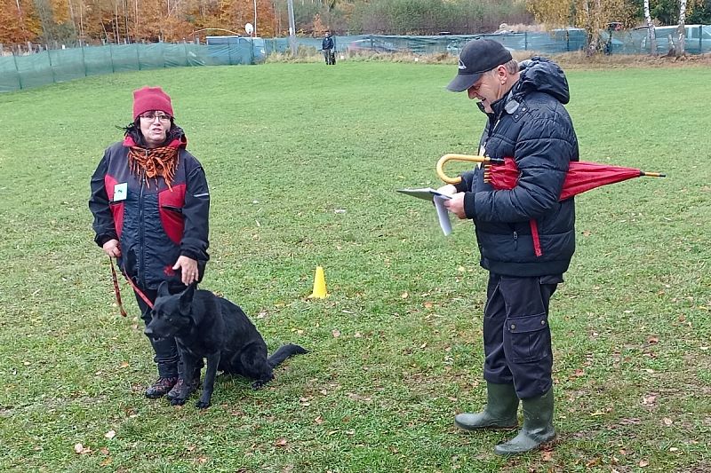 O pohár 28. října – 25. 10.2025