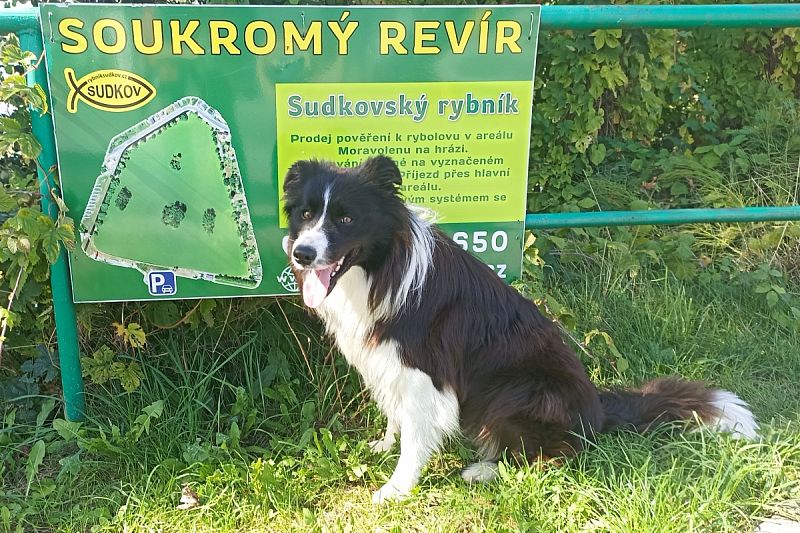 O pohár obecního úřadu Sudkov 19. 9. 2026