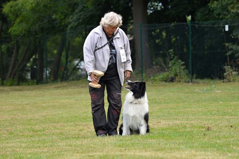 O štít města Uničova – 23. 8. 2025