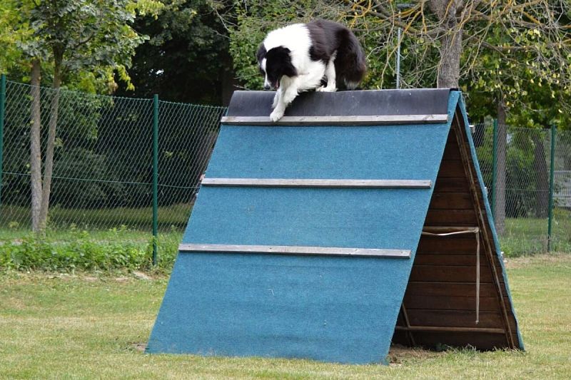 O štít města Uničova – 23. 8. 2025