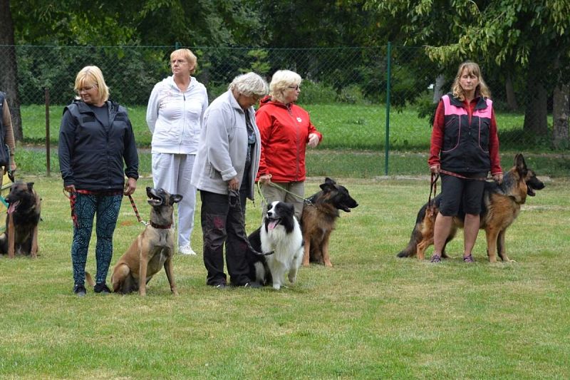 O štít města Uničova – 23. 8. 2025