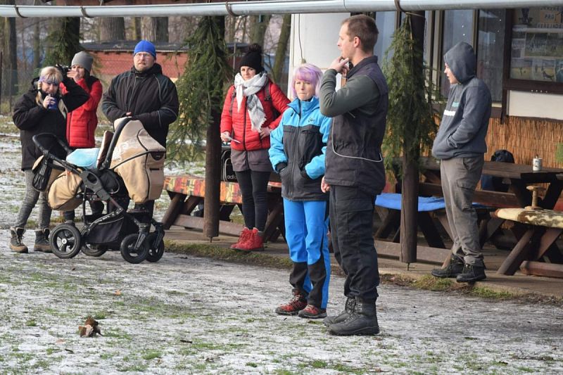 O Vánočního Amura 2019 - Vikýřovice