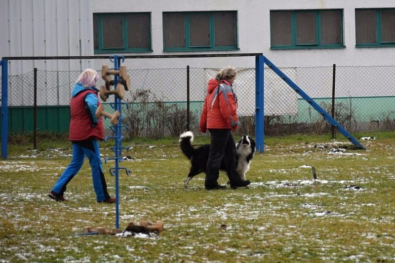 O Vánočního Amura 2019 - Vikýřovice