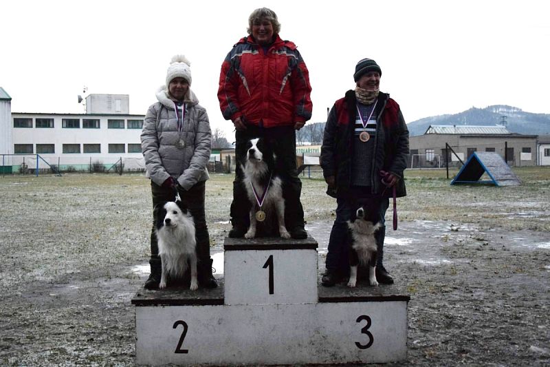 O Vánočního Amura 2019 - Vikýřovice