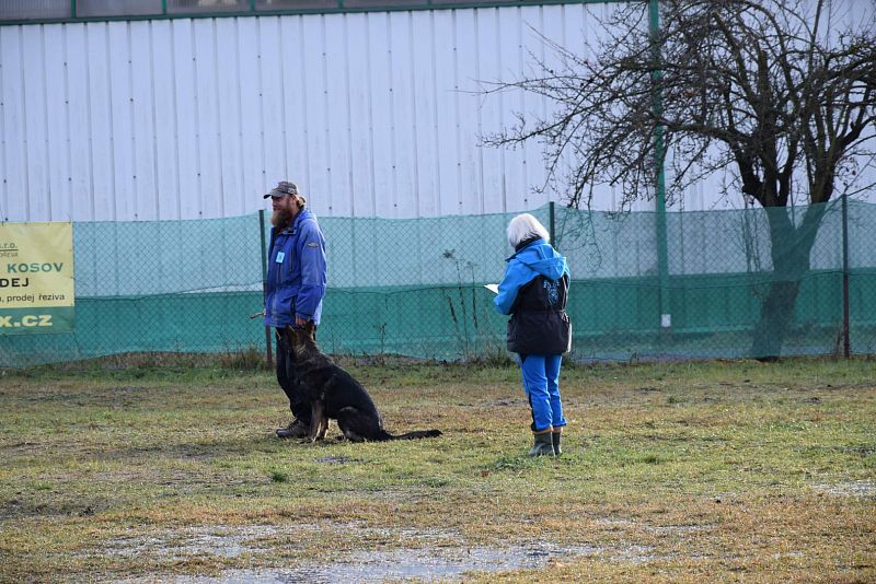 O Vánočního Amura -  Vikýřovice