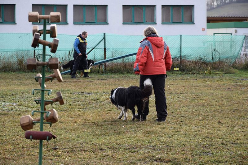 O Vánočního Amura -  Vikýřovice