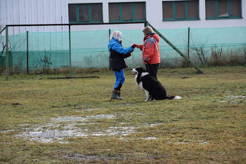 O Vánočního Amura -  Vikýřovice