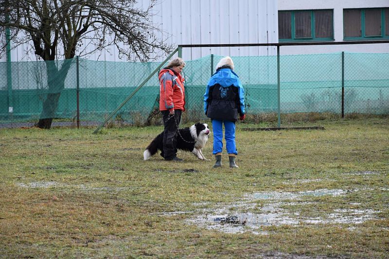 O Vánočního Amura -  Vikýřovice