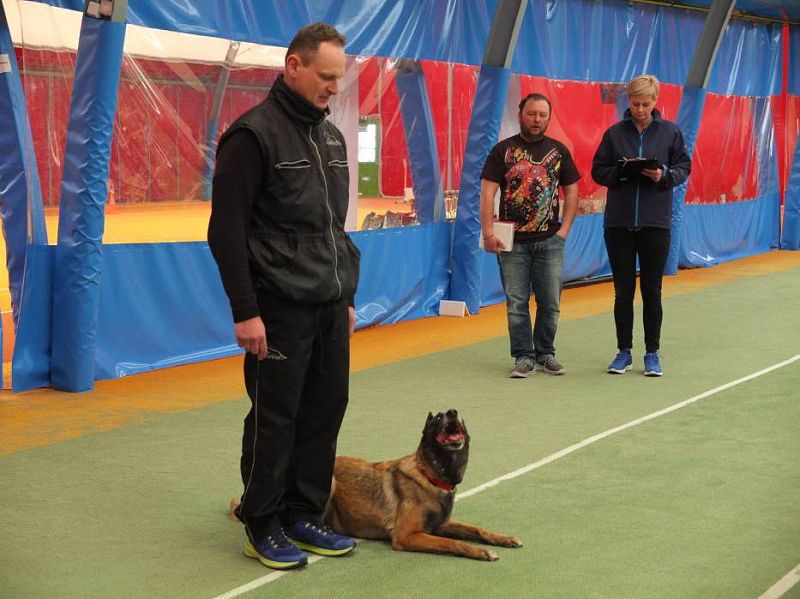 Obedience závody Polsko "O Puchar Karolinki" Opole