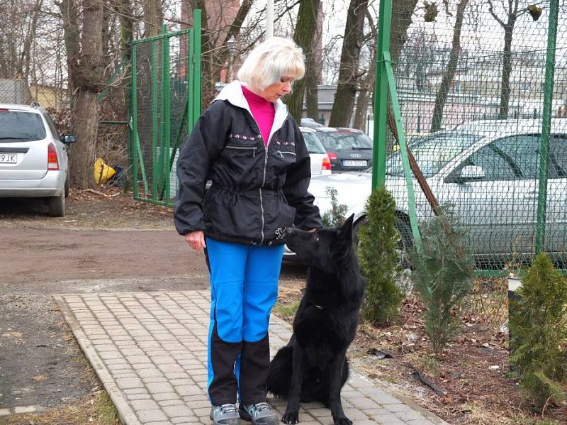 Obedience závody Polsko "O Puchar Karolinki" Opole