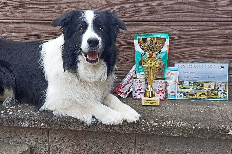 PES a FENA ROKU BCCCZ 2025