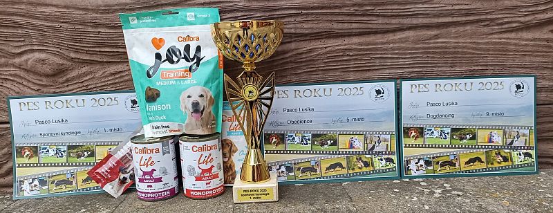 PES a FENA ROKU BCCCZ 2025