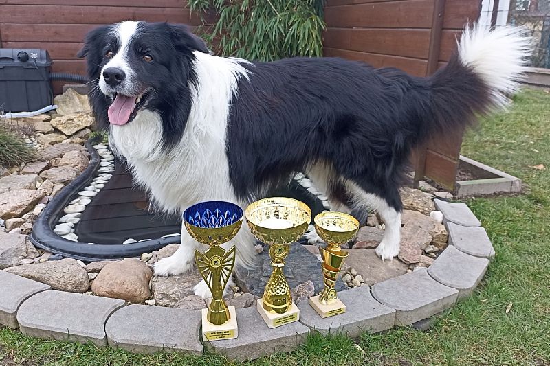 PES a FENA ROKU BCCCZ 2025