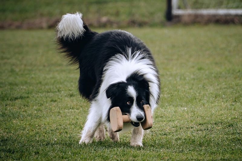 Poličský závod 2025