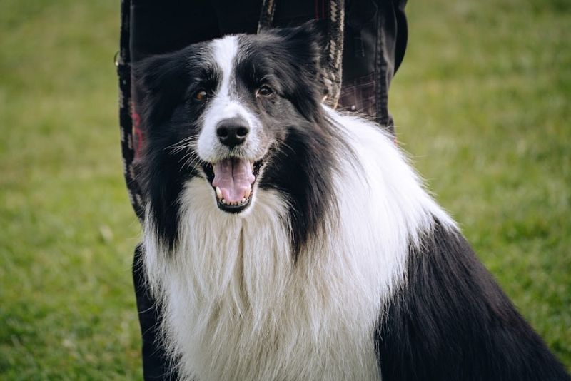 Poličský závod 2025