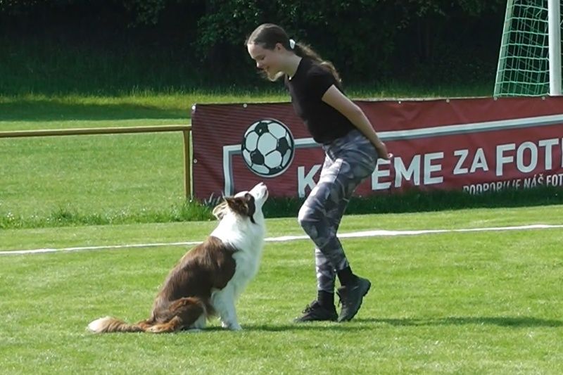 Postupové zkoušky DD FK stadion 4.6.2022