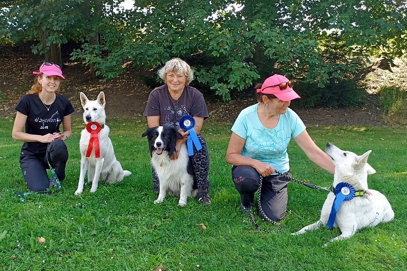 Postupové zkoušky Dogdancingu – Svitavy 24. 8. 2025