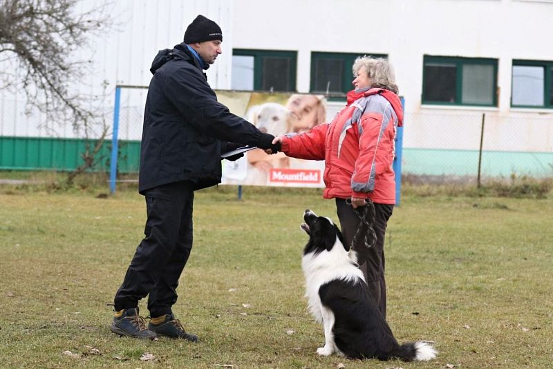 Prosincové závody