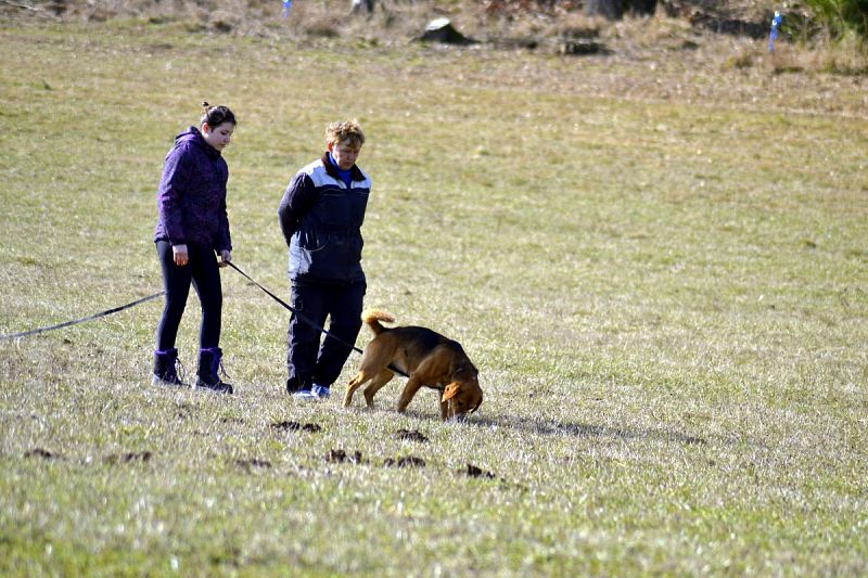 Secvik mládeže - areál Javorka