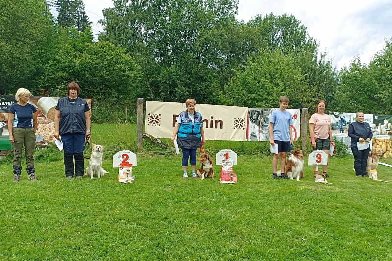 Seriál OB Javorka - Jarní závod a Speciál NO v Obedienci 16.6.2024