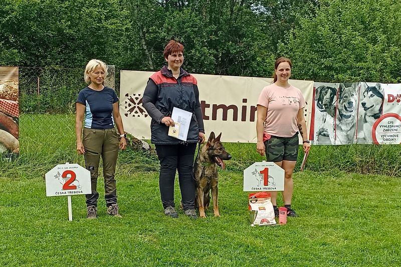 Seriál OB Javorka - Jarní závod a Speciál NO v Obedienci 16.6.2024