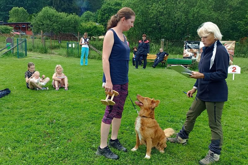 Seriál OB Javorka - Jarní závod a Speciál NO v Obedienci 16.6.2024