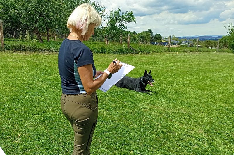 Seriál OB Javorka - Jarní závod a Speciál NO v Obedienci 16.6.2024