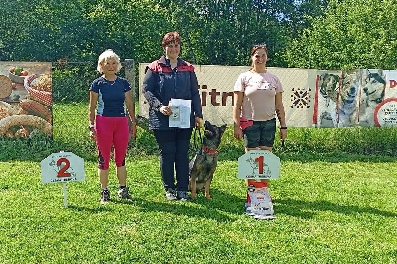 Seriál OB Javorka - Jarní závod a Speciál NO v Obedienci 16.6.2024