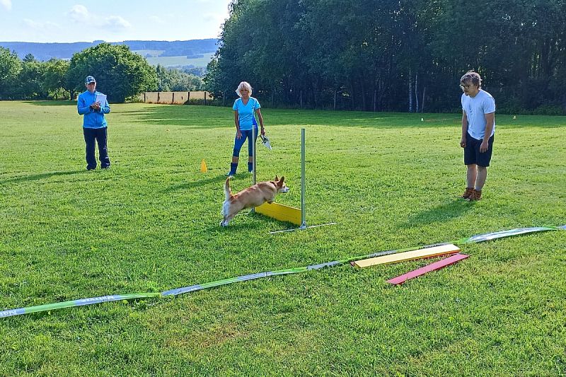 Seriál Obedience – 1. část Jarní závod