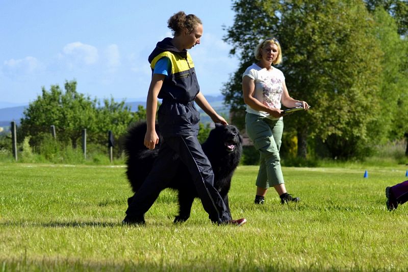 Seriál Obedience Javorka - JARNÍ závod