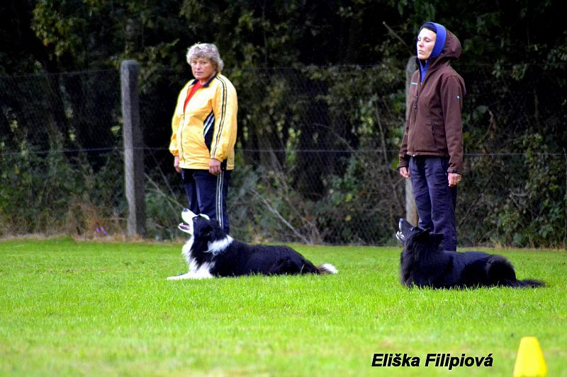 Seriál Obedience Javorka - podzimní závod