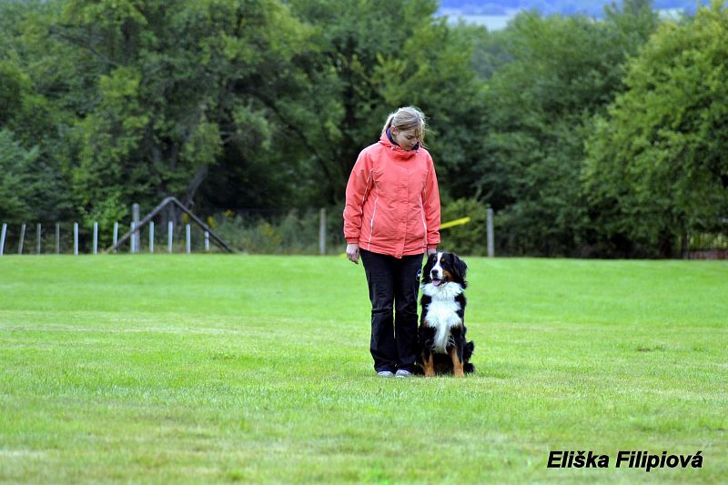 Seriál Obedience Javorka - podzimní závod