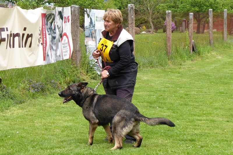 Speciál Javorka 18.5.2024