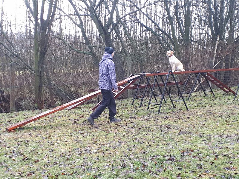 Tréninková lekce na překážkách