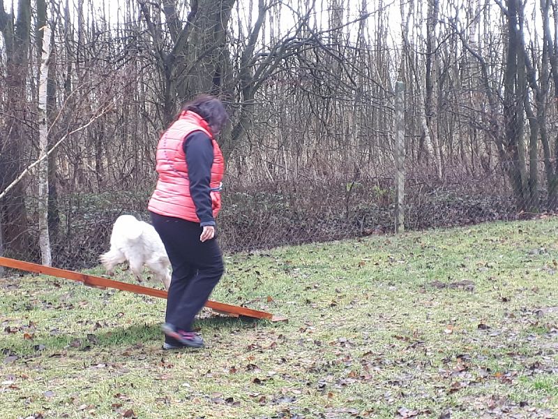 Tréninková lekce na překážkách