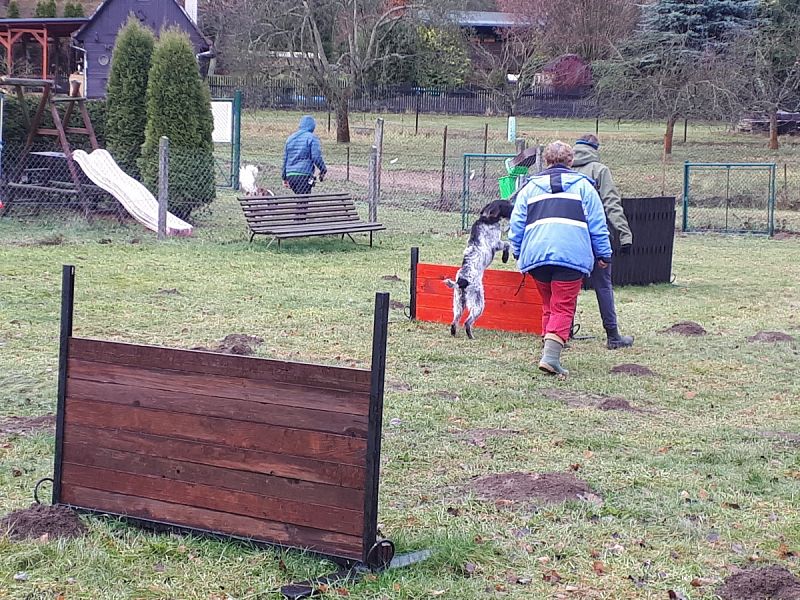 Tréninková lekce na překážkách